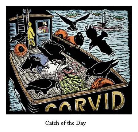 Catch of the Day 72dpi