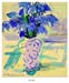 blue_seilla