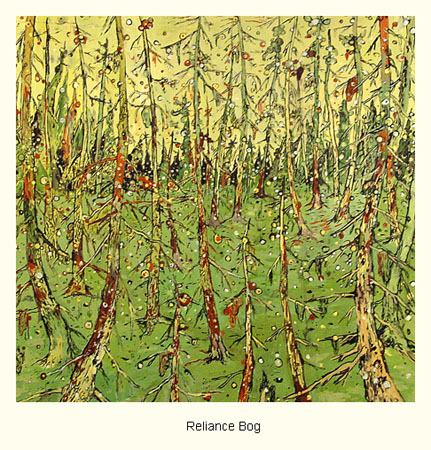 fox-reliance-bog