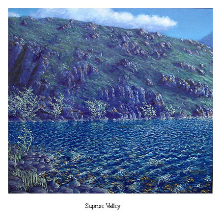 suprise_valley